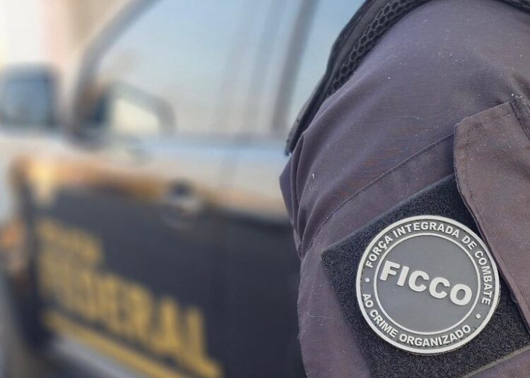 FICCO/GO e PM/GO apreendem carga de medicamentos contrabandeados do Paraguai