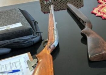 PF deflagra operação de combate aos crimes ambientais e ao tráfico no Paraná e em Santa Catarina