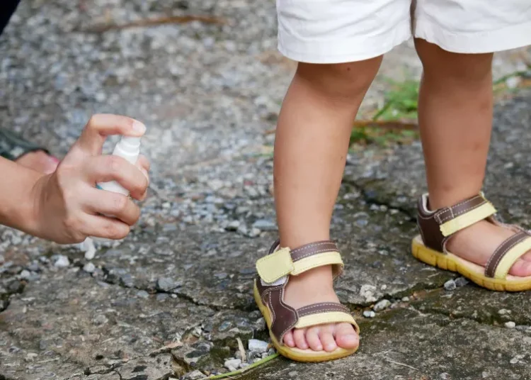 Preços de repelentes podem variar até 110%, diz Procon