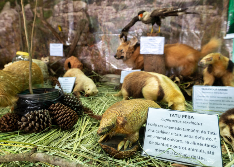 Última semana para visitar a V Exposição “Conhecer para Aprender a Preservar” no Lago de Olarias