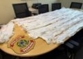 Polícia Federal apreende cocaína líquida em agência dos Correios e prende dois em Manaus