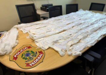 Polícia Federal apreende cocaína líquida em agência dos Correios e prende dois em Manaus