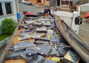 PRF apreende mais de 1,6 tonelada de maconha escondida em carga de soja na BR-277, em Irati