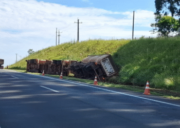 Bitrem tomba na PR-151 entre Castro e Piraí do Sul e motorista sai ileso